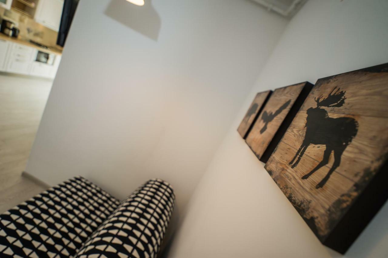 Schiller Apartment 57 - Free Private Parking 브라쇼브 외부 사진